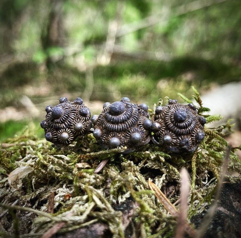 Metalldetektor Funde reinigen: Fundreinigung