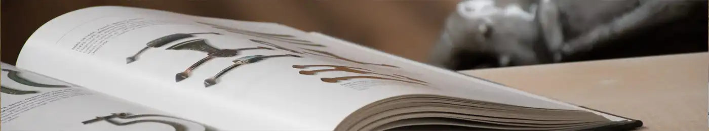 Bücher und Zeitschriften